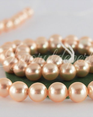 Perle seashell 6mm, cod P01 (1)