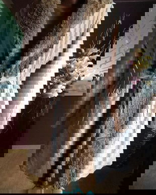 HAINA SPECTACULOASA BLANA IEPURE MARIME L