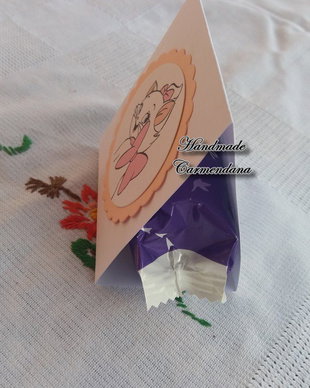 Ambaje marturii pisicuta Marie