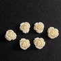 LMCB38 - cabochon rasina