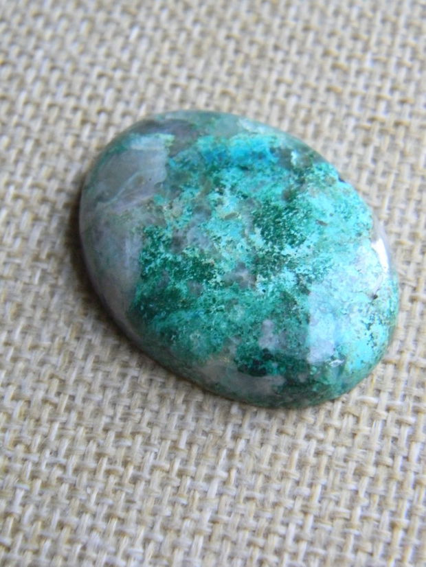 Caboson chrysocolla (AV1)