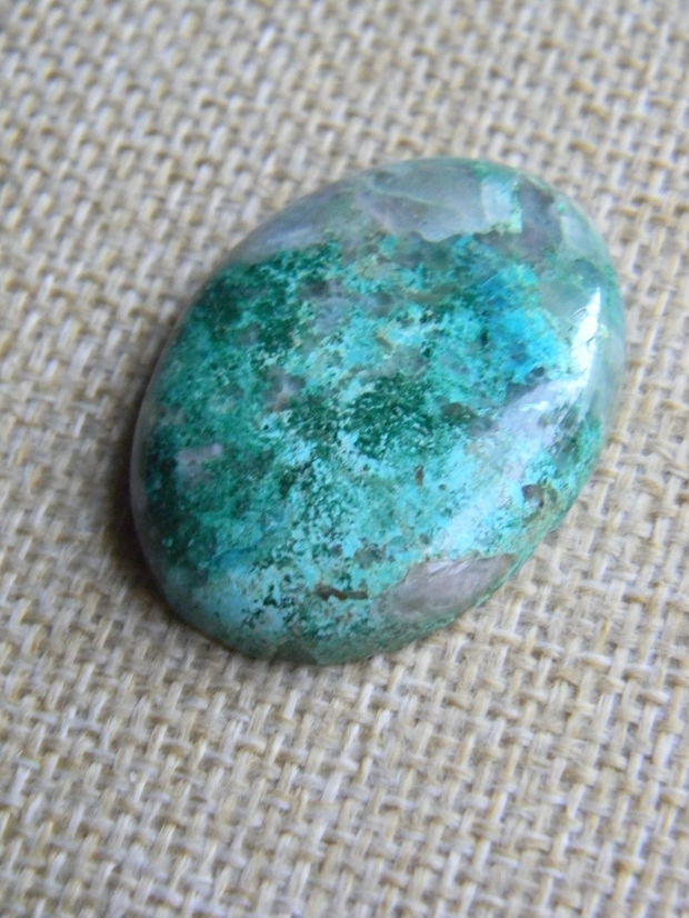 Caboson chrysocolla (AV1)