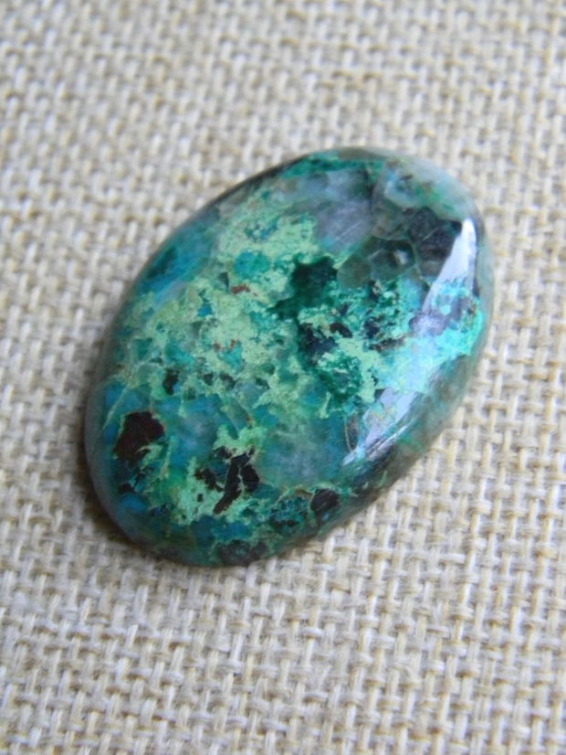 Caboson chrysocolla (AV1)