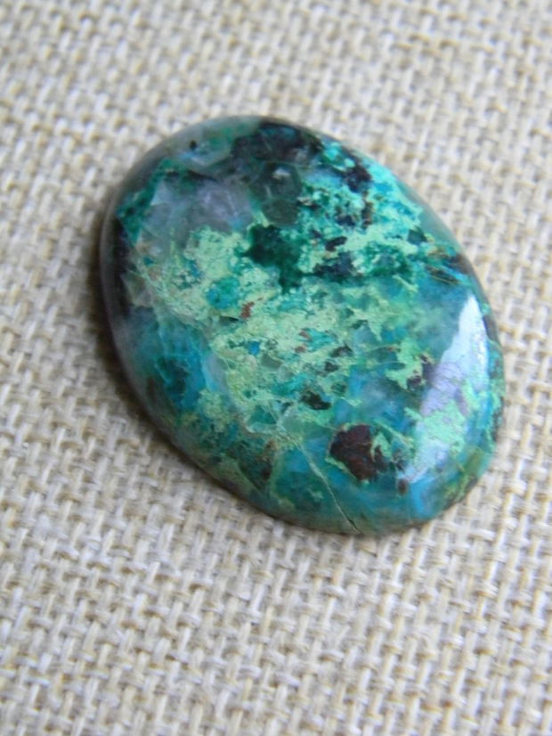 Caboson chrysocolla (AV1)