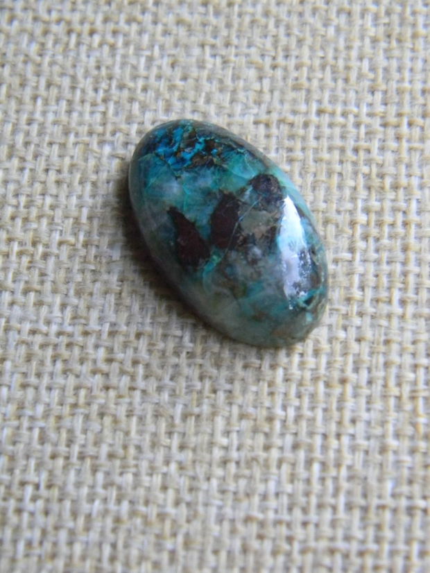 Caboson chrysocolla (AV7)