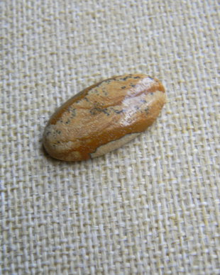 Caboson picture jasper (AV5)
