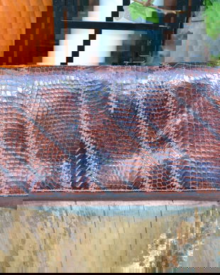 Plic din piele de sarpe