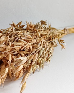 Buchet Ovăz uscat Natur, 40 cm-30 fire