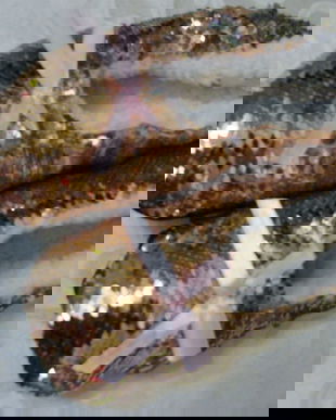 Noi-botosei cu paiete nr.37