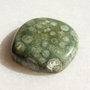 Cabochon ryolite aprox 23.5x23.5x6 mm