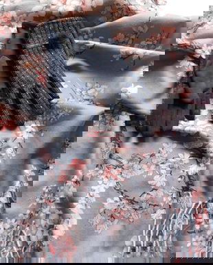 Esarfa noua ,   imprimeu   elegant ,  manusi noi   asortate