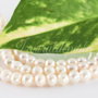 Perle cultura 4.5-5mm, cod ID22 (1sir)