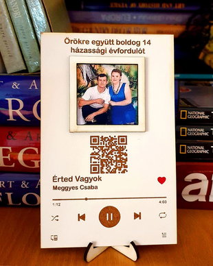 Tablou SPOTIFY / YOUTUBE - cu Poza si CODUL Melodiei Preferate