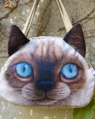 Nou-poseta cu puma