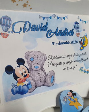 Tavita Mot / Turta Mickey Mouse Ursuleti