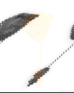 Batator de usa cu o pisica cu soarecele