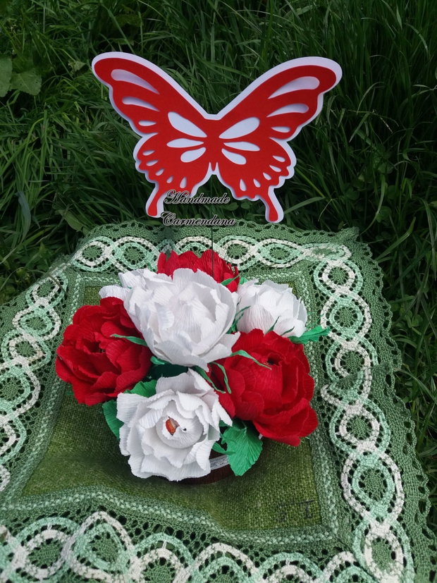 Fluturi mari decorativi