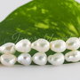 Perle cultura 7-8.5mm, cod ID32(1)