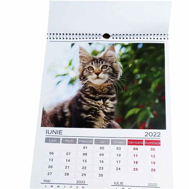 Calendar de perete MCF colectia pisici 2022