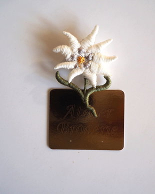 Brosa Floare de colt
