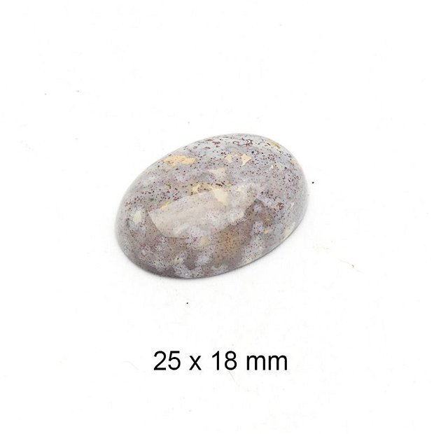 Cabochon Jasper agatizat, 25 x 18 mm, A774