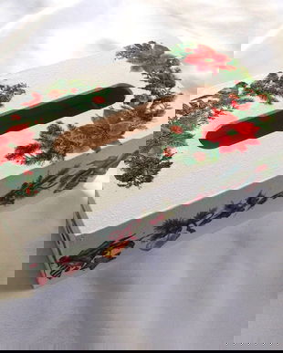 Cutie pt servetele de hartie cu floarea craciunului 39913