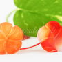 Pandantiv agata 25x6mm