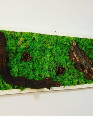 Tablou licheni naturali si stabilizati, licheni decorativi