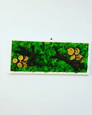 Tablou licheni naturali si stabilizati, licheni decorativi