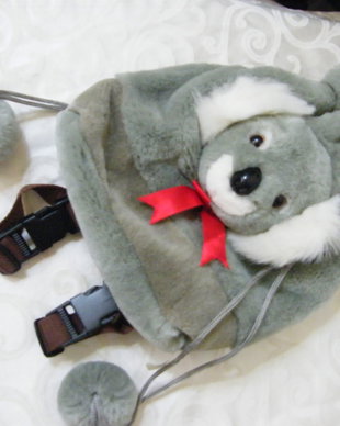 Nou-rucsacel cu Koala
