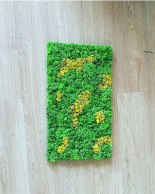Tablou licheni naturali si stabilizati, licheni decorativi