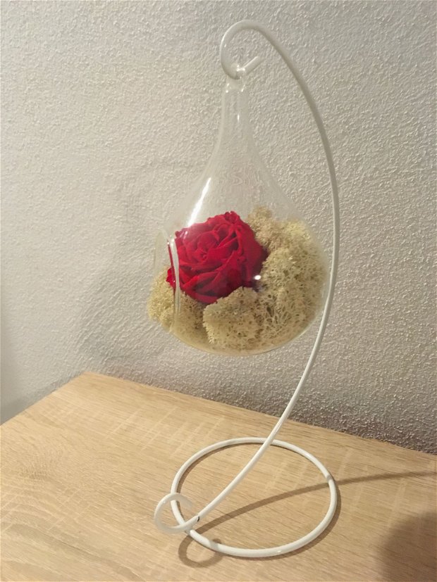 Trandafir criogenat
