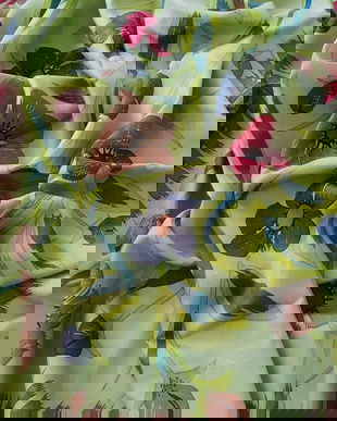 Esarfa sOliver , mătase naturala