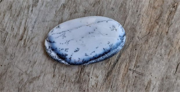 Cabochon opal dendritic, 53x32 mm