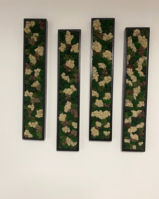 Decoratiune licheni perete pentru casa sau birou