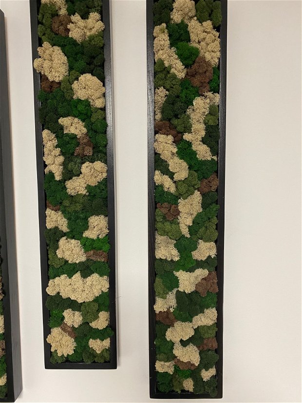 Decoratiune licheni perete pentru casa sau birou