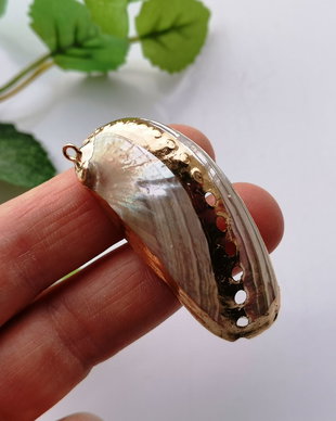 Pandant shell