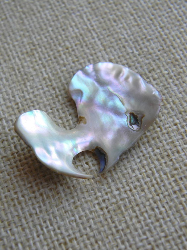 Paua Shell (AV10)