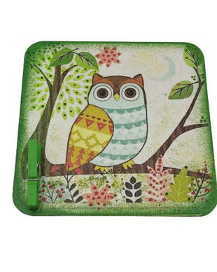 Magnet frigider cu clema, model bufnita, 2551