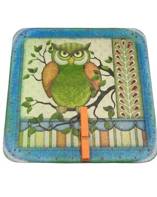 Magnet frigider cu clema, model bufnita, 2552