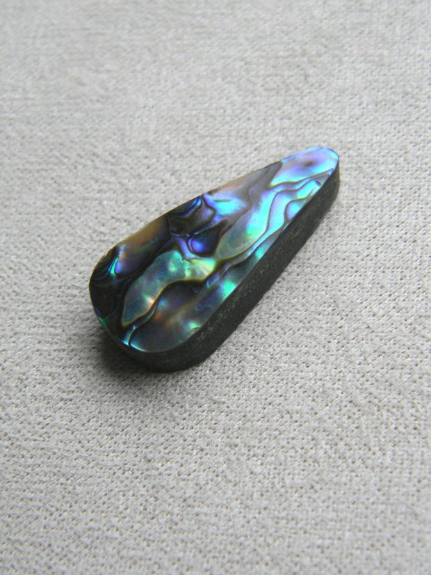 Caboson sidef Paua Shell (M14)