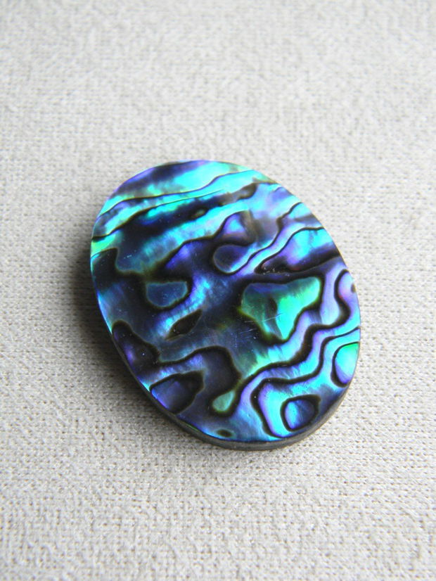 Caboson sidef Paua Shell (M14)