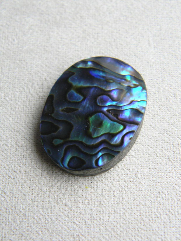 Caboson sidef Paua Shell (M14)