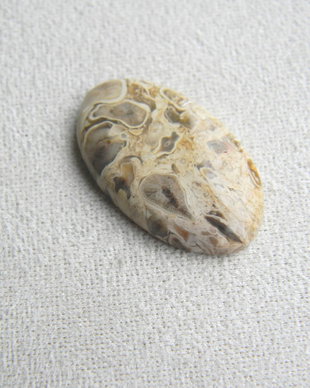 Caboson root plume agat (M6)