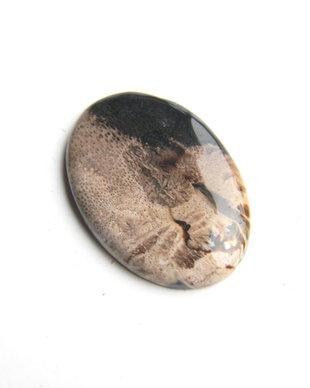 Caboson root plume agat (AV9-3)