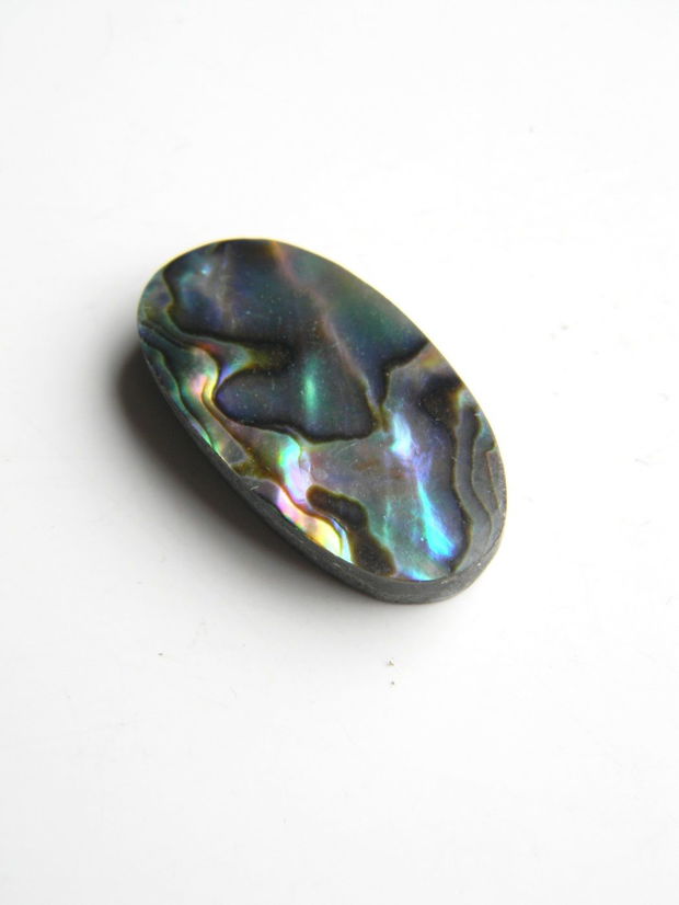 Caboson sidef Paua Shell (AV9)