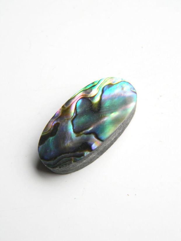 Caboson sidef Paua Shell (AV9)