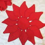 Poinsettia pt aplicatii
