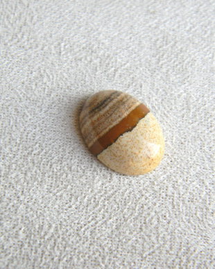 Caboson picture jasper (AV3)
