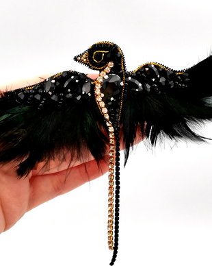 Rezervat Brosa pasăre - The Black Bird